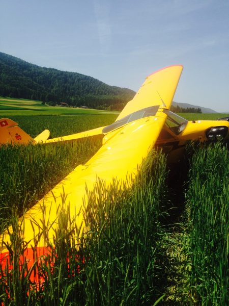 100108-pgPW6SqmTo8N7UM_C3ejxA