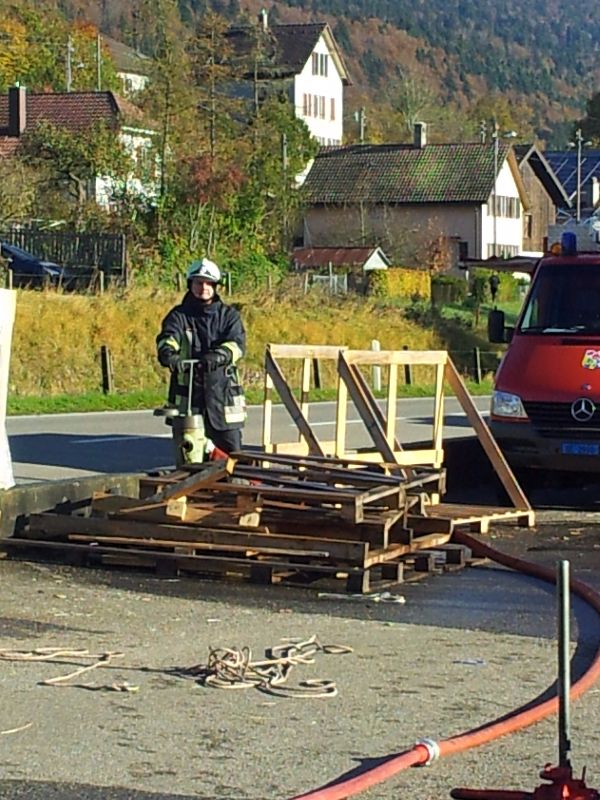 Photos du Natel Petra 343