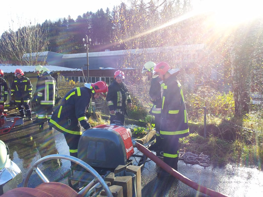 Photos du Natel Petra 344