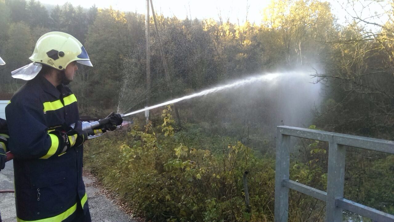 Photos du Natel Petra 348